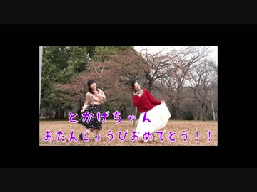 【1日遅れのとかげ誕】バタフライ・グラフィティ　踊ってみた【憂】