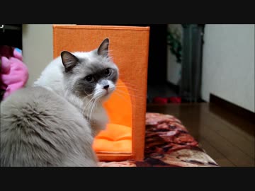 俺の城がせますぎる