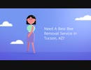 OCP Bee Removal Service in Tucson, AZ