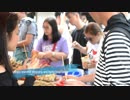 Hashi Online English Education Center