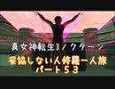 【実況】妥協しない人修羅の一人旅縛りプレイpart53