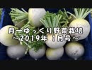 月一ゆっくり野菜栽培 2019年1月