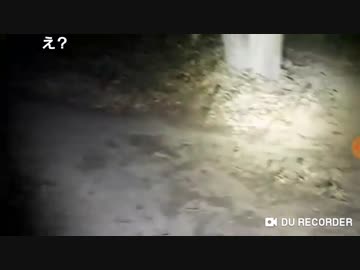肝試し配信中に謎の声？「そうっす」