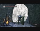 [初見実況]ひっそりまったり蘇りし鬼畜ゲーをプレイ　Part68[ダークソウル]