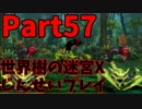 【シリーズ未経験者にもやさしい】世界樹の迷宮X　人生縛りプレイ part57
