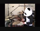 ジョジョの奇妙な冒険～ダイヤモンドは砕けない～OP 『CRAZY NOISY BIZARRE TOWN』をぱんだが叩いてみた