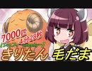 【シェフィ−Shephy−】きりたんと毛だま[単発]