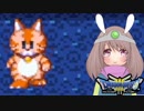 【ドラクエ３＊実況】体を張って女の子を守る勇者！第二十二章