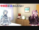 【VOICEROID劇場】琴葉茜は止められない
