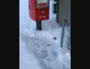 ジャパンネット銀行申し込みしてみた投函