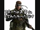 スネーク(cv.大塚明夫)の声真似してみたかっただけ･･･