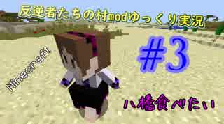 【Minecraft】反逆者たちの村Modゆっくり実況#III