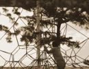 [驚愕]100年前の日本の日常風景
