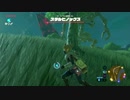 【実況】ハイラルサバイバル生活63【ブレスオブザワイルド】