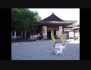 ゆっくり自転車旅 - ビワイチ編 1日目 -