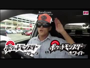 ポケモン 就職先ブラック/頭ホワイト 12番道路