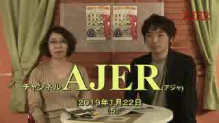 『県民投票と国連から琉球独立①』THE・REAL・OKINAWA AJER2019.1.22(5)