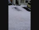 しゅったんちゃんねるずブラブラ歩く