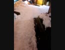 しゅったんちゃんねるずブラブラ歩いてみた
