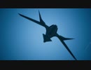 ACE COMBAT™ 7 SKIES UNKNOWN mission20「ダーク・ブルー」