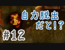 【DBD】群馬散歩【実況】part12