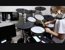 【バンやろ】Bloody Masquerade【叩いてみた】