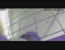 ch4clip