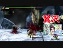 [実況]しょうもない三人のハンター生活　28日目[MH3G]