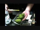 あの枠【2019/01/05】