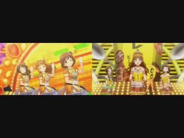 【比較】スパイスパラダイス