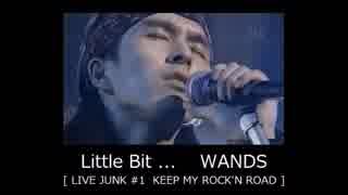 Little Bit ...　WANDS 【 LIVE-JUNK#1 】