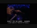 DON'T TRY SO HARD　WANDS 【 LIVE-JUNK#2 】