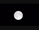 【自然】2019年1月21日のスーパームーン(Super Moon)、満月を適当に城北中央公園でタイムラプス撮影【NEX-5T】