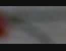 WIN_20190121_06_21_38_Pro