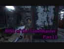 信じられるのは己の知識と肉体のみ…【RISE of the TombRaider実況 Part11