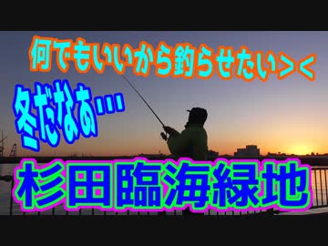 釣り動画ロマンを求めて 221釣目（杉田臨海緑地）