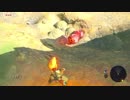 【実況】完全初見のゼルダの伝説ブレスオブザワイルドpart2