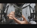 【ASMR】韓国のりの咀嚼音 / 声あり【音フェチ】