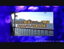 品質基準エンコード検証No.7（動きまくる）(640x360_60fps)