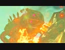 【初実況：ゼルダの伝説ブレス オブ ザ ワイルド】見ないと呪われます_part４０