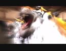 【実況】チンピラに容赦ない龍が如く2　part52