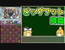 【パズドラ】レアガチャ禁止！！裏・闘技場制覇への道 Part.8【ゆっくり実況】
