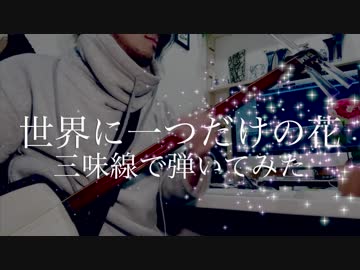 『世界に一つだけの花』三味線で弾いてみた