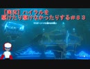 【実況】ハイラルを駆けたり駆けなかったりする＃８３【ゼルダの伝説ブレスオブザワイルド】