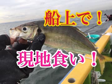 新年初釣り後半戦！LTアジ船釣りで船上現地食い！【もっち釣動組合♯４２後編】