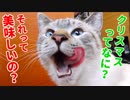 ムシャムシャと美味しそうにご馳走を食べる猫を見てたら飼い主のお腹もグーと鳴りました