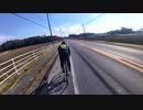 【自転車で200km】オダックス埼玉2019BRM120 アタック小田城