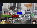 【ゆっくり】韓国トルコ旅行記　27　猫の楽園とトルコアイス