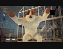 [鉄拳7]　青段パンダ/クマ　(Vol.3)