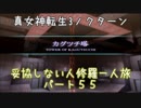 【実況】妥協しない人修羅の一人旅縛りプレイpart55